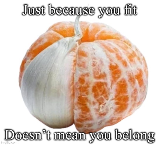 Life advice | Just because you fit; Doesn’t mean you belong | image tagged in life lessons,mandarin,garlic,belong | made w/ Imgflip meme maker