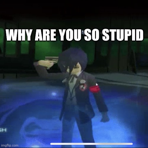 Persona 3 commits die | WHY ARE YOU SO STUPID | image tagged in persona 3 commits die | made w/ Imgflip meme maker