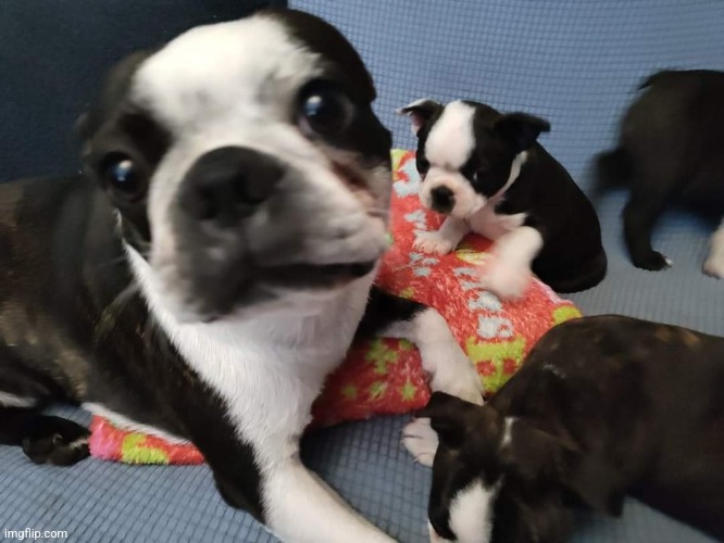 Archie and his sisters lol | made w/ Imgflip meme maker