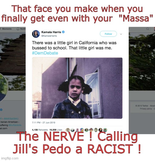 It's why Jill HATES HER GUTS | That face you make when you finally get even with your  "Massa"; The NERVE ! Calling Jill's Pedo a RACIST ! | image tagged in little girl was me meme | made w/ Imgflip meme maker