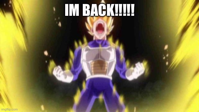 AGAIN!!!! | IM BACK!!!!! | image tagged in vegeta | made w/ Imgflip meme maker