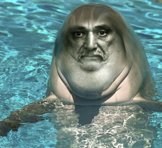 Dolphin Old Man | image tagged in dolphin old man | made w/ Imgflip meme maker