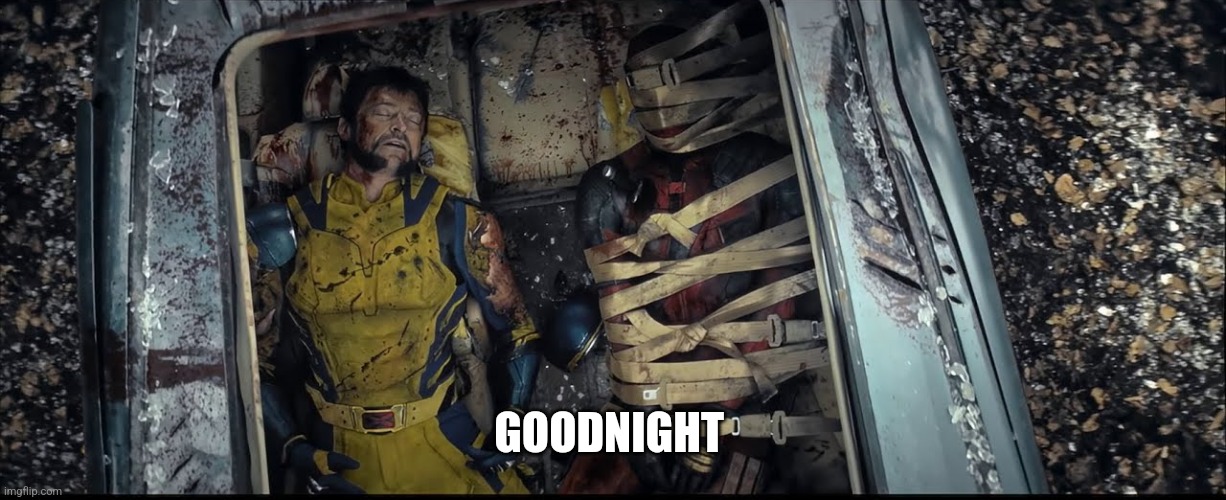 GOODNIGHT | image tagged in funny,sleep | made w/ Imgflip meme maker