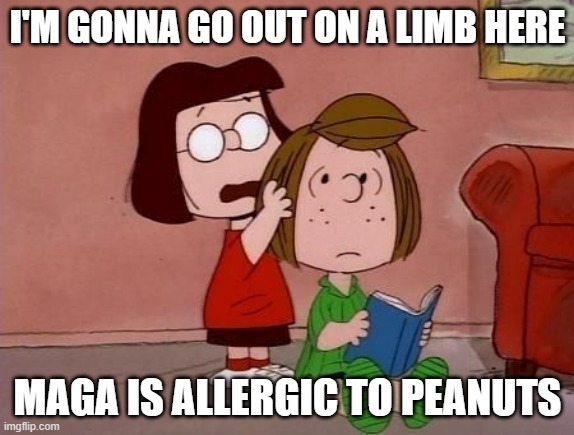 I'M GONNA GO OUT ON A LIMB HERE; MAGA IS ALLERGIC TO PEANUTS | image tagged in peanuts,peanuts charlie brown peppermint patty,maga | made w/ Imgflip meme maker