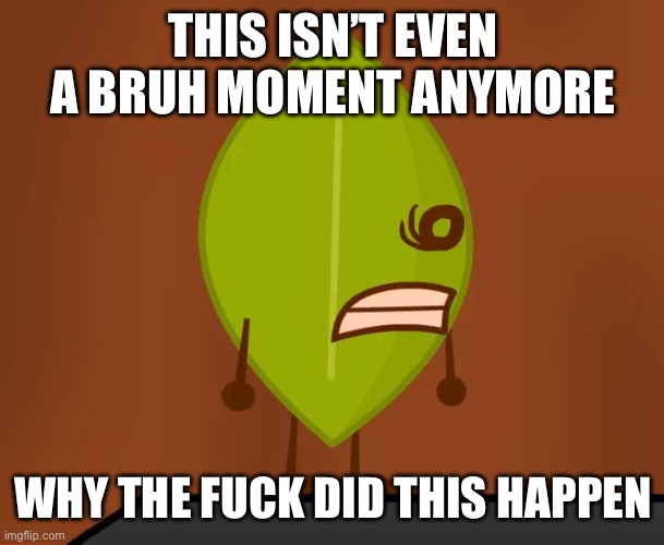 BFDI "Wat" Face | THIS ISN’T EVEN A BRUH MOMENT ANYMORE WHY THE FUCK DID THIS HAPPEN | image tagged in bfdi wat face | made w/ Imgflip meme maker