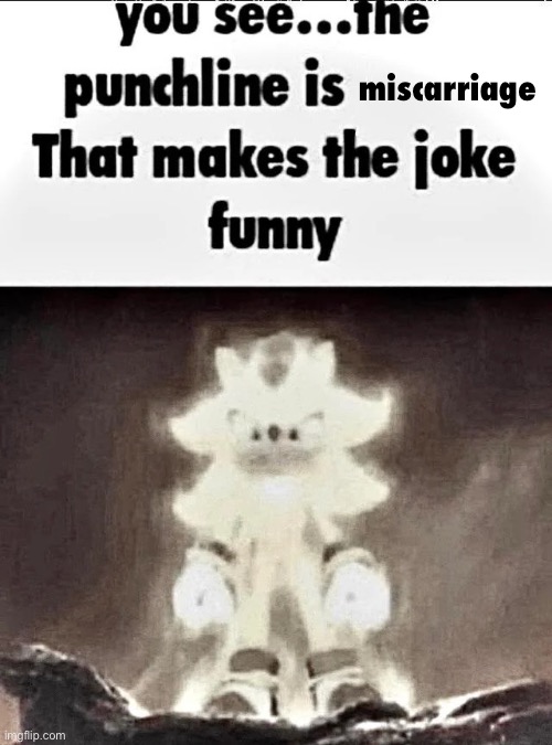 Shadow explains the joke | miscarriage | image tagged in shadow explains the joke | made w/ Imgflip meme maker