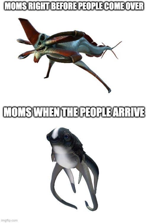 MOMS RIGHT BEFORE PEOPLE COME OVER; MOMS WHEN THE PEOPLE ARRIVE | image tagged in memes,funny | made w/ Imgflip meme maker