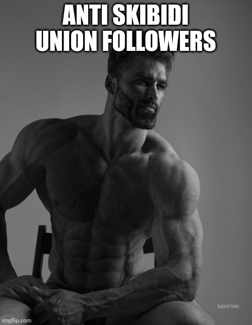 Giga Chad | ANTI SKIBIDI UNION FOLLOWERS | image tagged in giga chad | made w/ Imgflip meme maker