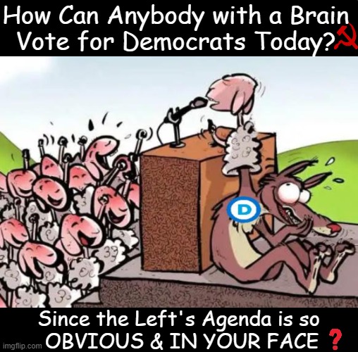 A Jackass in Sheep's Clothing | How Can Anybody with a Brain 
Vote for Democrats Today? Since the Left's Agenda is so 
OBVIOUS & IN YOUR FACE | image tagged in democrats,kamala harris,jackass,stupid sheep,marxism communism socialism,agenda | made w/ Imgflip meme maker