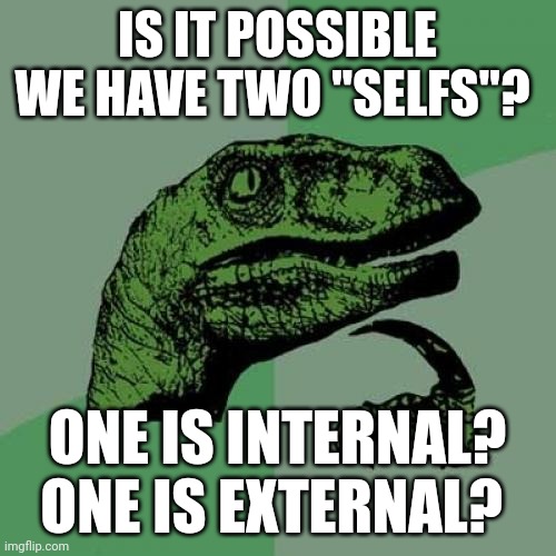 Philosoraptor | IS IT POSSIBLE WE HAVE TWO "SELFS"? ONE IS INTERNAL? ONE IS EXTERNAL? | image tagged in memes,philosoraptor | made w/ Imgflip meme maker