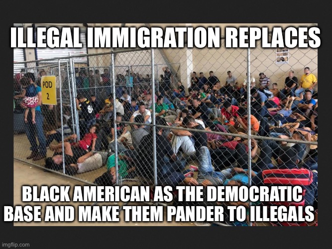 Illegals Base | ILLEGAL IMMIGRATION REPLACES; BLACK AMERICAN AS THE DEMOCRATIC BASE AND MAKE THEM PANDER TO ILLEGALS | image tagged in crisis,illegal immigration,democrats,politics,political meme | made w/ Imgflip meme maker