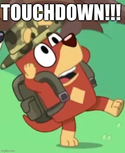 When your team scores | TOUCHDOWN!!! | image tagged in rusty bluey screaming,nfl | made w/ Imgflip meme maker