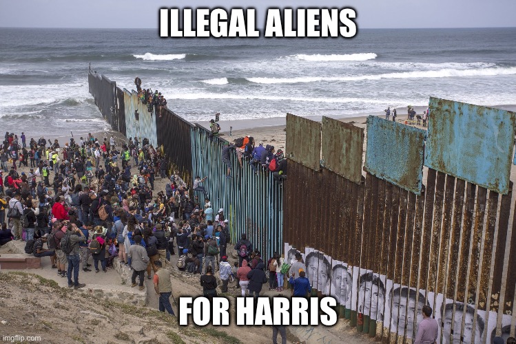Border wall | ILLEGAL ALIENS FOR HARRIS | image tagged in border wall | made w/ Imgflip meme maker