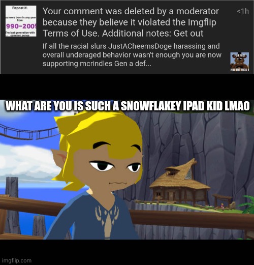 WHAT ARE YOU IS SUCH A SNOWFLAKEY IPAD KID LMAO | image tagged in high toon link | made w/ Imgflip meme maker