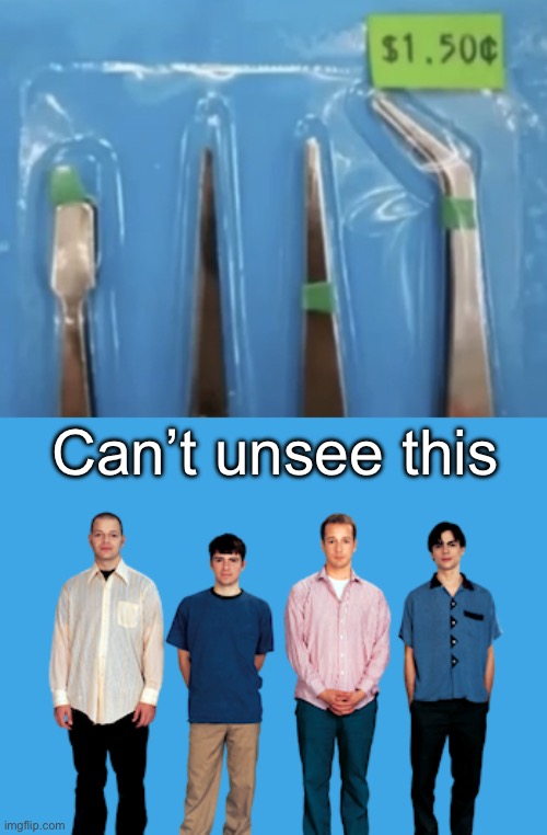 (T)Weezer | Can’t unsee this | image tagged in t-weezer | made w/ Imgflip meme maker