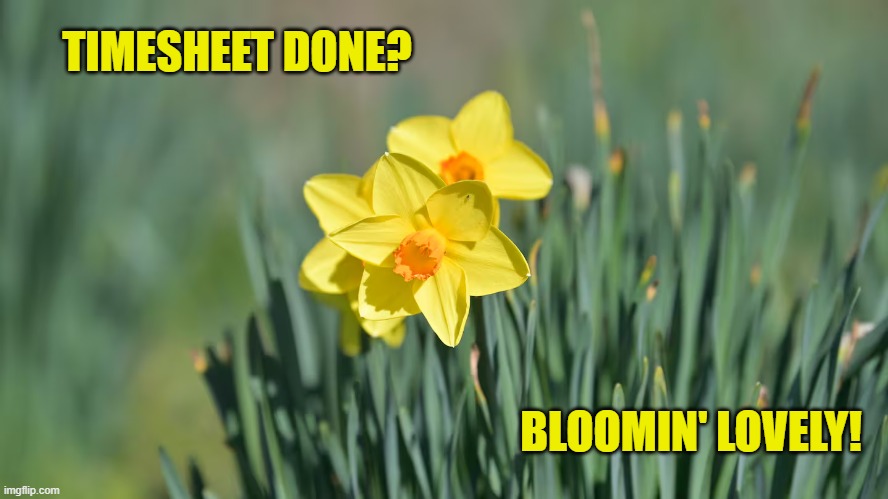 Daffodil Timesheet Reminder | TIMESHEET DONE? BLOOMIN' LOVELY! | image tagged in timesheet reminder,timesheet meme,memes,daffodil day | made w/ Imgflip meme maker