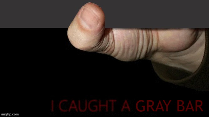 I caught a gay (bottom) | GRAY BAR | image tagged in i caught a gay bottom | made w/ Imgflip meme maker