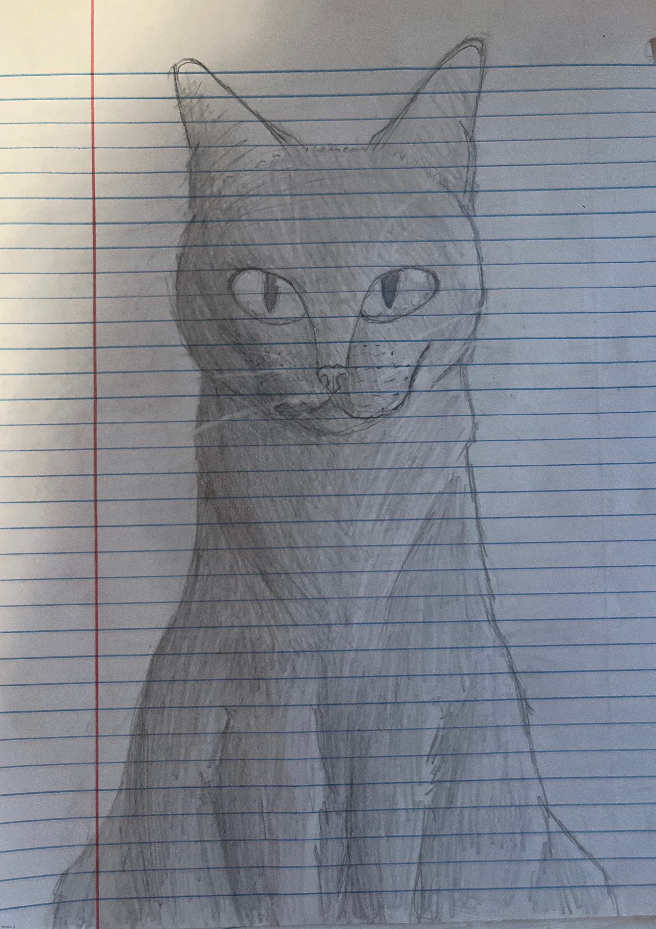 Drew this couple of days ago at school but I’m proud of it so I’m posting it. | image tagged in cats | made w/ Imgflip meme maker