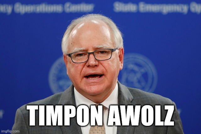 Tim Walz calls things weird | TIMPON AWOLZ | image tagged in tim walz calls things weird | made w/ Imgflip meme maker