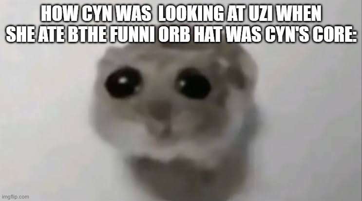 fr fr | HOW CYN WAS  LOOKING AT UZI WHEN SHE ATE BTHE FUNNI ORB HAT WAS CYN'S CORE: | image tagged in sad hamster,cyn,memes,murder drones | made w/ Imgflip meme maker