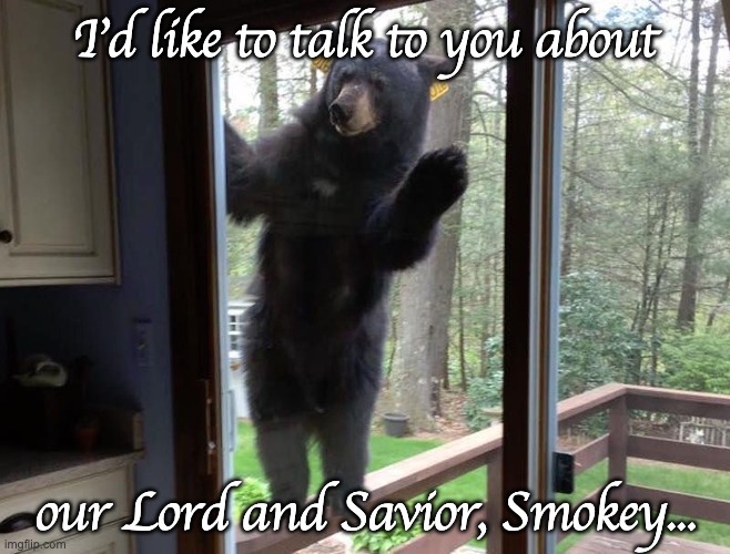 Smokey is our L&S | I'd like to talk to you about; our Lord and Savior, Smokey... | image tagged in funny animals | made w/ Imgflip meme maker