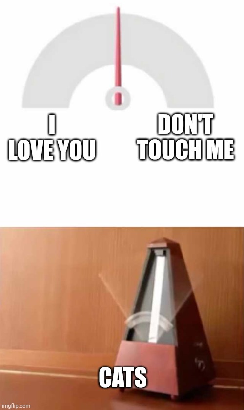 Metronome | I LOVE YOU DON'T TOUCH ME CATS | image tagged in metronome | made w/ Imgflip meme maker