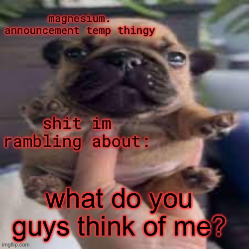 pug temp | what do you guys think of me? | image tagged in pug temp | made w/ Imgflip meme maker