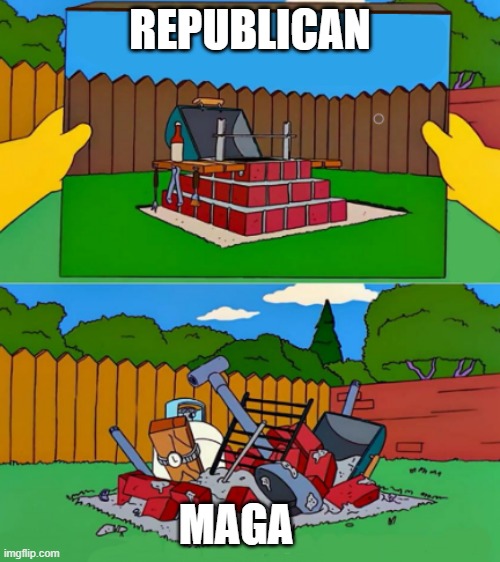 Maga not republican | REPUBLICAN; MAGA | image tagged in bbq pit blank | made w/ Imgflip meme maker