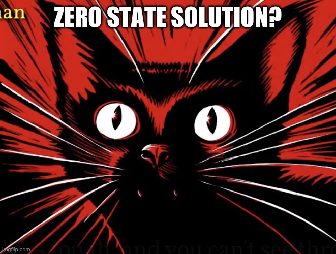 Sabo tabby | ZERO STATE SOLUTION? | image tagged in sabo tabby | made w/ Imgflip meme maker