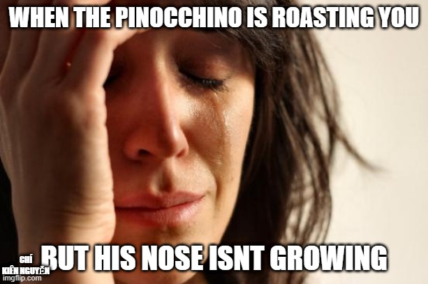 First World Problems | WHEN THE PINOCCHINO IS ROASTING YOU; BUT HIS NOSE ISNT GROWING; CHÍ KIÊN NGUYỄN | image tagged in memes,first world problems | made w/ Imgflip meme maker