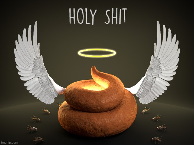 holy shit | image tagged in holy shit | made w/ Imgflip meme maker