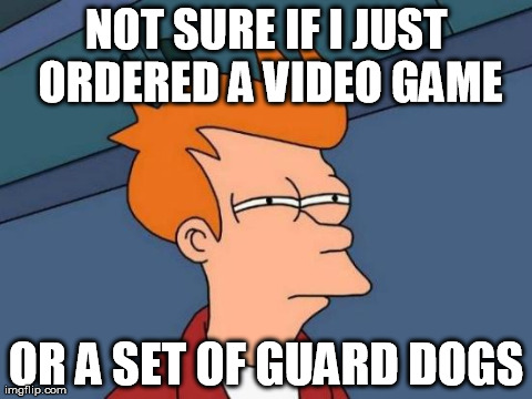 Futurama Fry Meme | NOT SURE IF I JUST ORDERED A VIDEO GAME OR A SET OF GUARD DOGS | image tagged in memes,futurama fry,AdviceAnimals | made w/ Imgflip meme maker