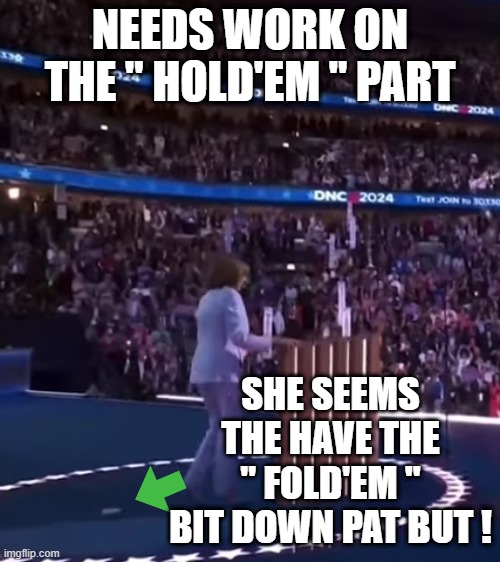 NEEDS WORK ON THE " HOLD'EM " PART; SHE SEEMS THE HAVE THE " FOLD'EM " BIT DOWN PAT BUT ! | made w/ Imgflip meme maker