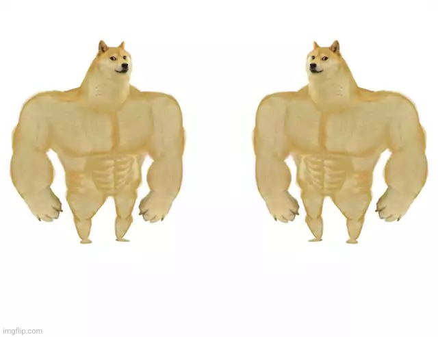 Buff Doge vs Buff Doge | image tagged in buff doge vs buff doge | made w/ Imgflip meme maker