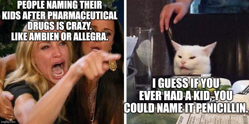 Smudge that darn cat with Karen | PEOPLE NAMING THEIR KIDS AFTER PHARMACEUTICAL DRUGS IS CRAZY. LIKE AMBIEN OR ALLEGRA. I GUESS IF YOU EVER HAD A KID, YOU COULD NAME IT PENICILLIN. | image tagged in smudge that darn cat with karen | made w/ Imgflip meme maker