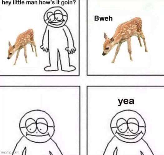 bweh | made w/ Imgflip meme maker