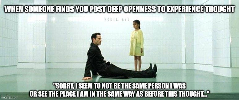 Openness Epiphany | WHEN SOMEONE FINDS YOU POST DEEP OPENNESS TO EXPERIENCE THOUGHT; "SORRY, I SEEM TO NOT BE THE SAME PERSON I WAS
OR SEE THE PLACE I AM IN THE SAME WAY AS BEFORE THIS THOUGHT..." | image tagged in matrix train station,openness to experience,big 5,personality,psychology,mind | made w/ Imgflip meme maker