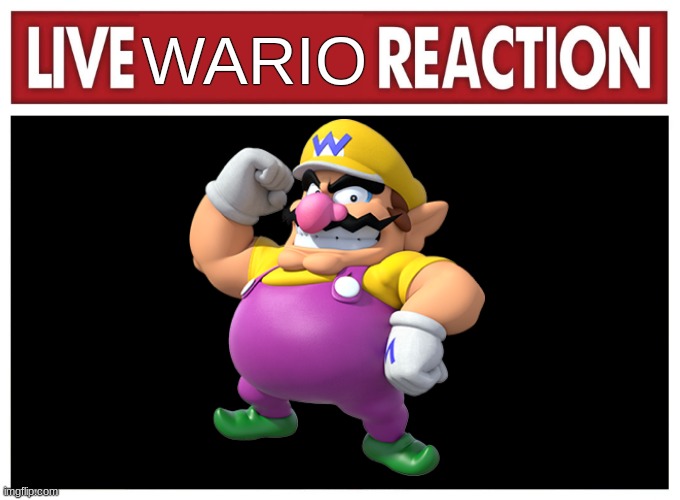 Live reaction | WARIO | image tagged in live reaction | made w/ Imgflip meme maker