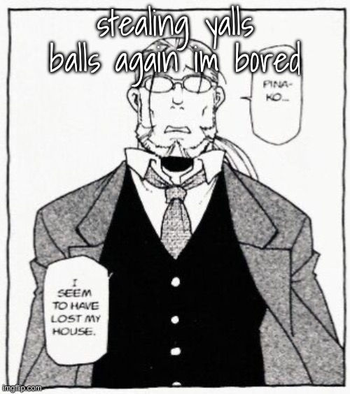I | stealing yalls balls again im bored | image tagged in hoenheim | made w/ Imgflip meme maker