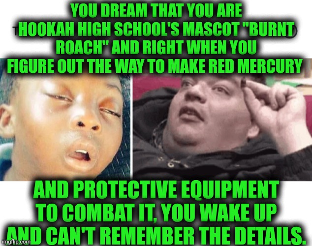 Funny | YOU DREAM THAT YOU ARE HOOKAH HIGH SCHOOL'S MASCOT "BURNT ROACH" AND RIGHT WHEN YOU FIGURE OUT THE WAY TO MAKE RED MERCURY; AND PROTECTIVE EQUIPMENT TO COMBAT IT, YOU WAKE UP AND CAN'T REMEMBER THE DETAILS. | image tagged in funny,remember,how to,invention,dream,drugs | made w/ Imgflip meme maker