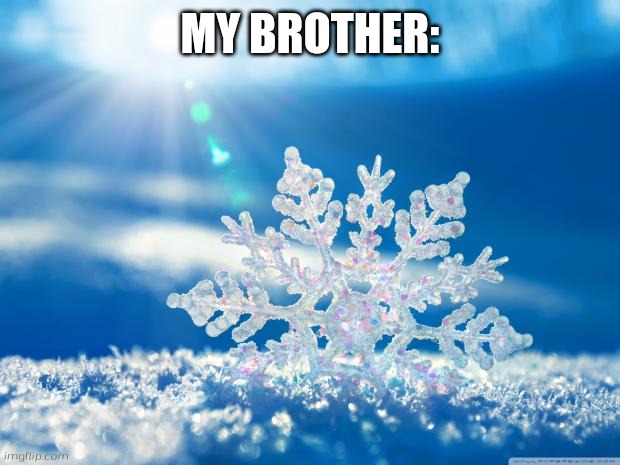 My brother in a nutshell part 3 | MY BROTHER: | image tagged in snowflake,my brother,brother | made w/ Imgflip meme maker