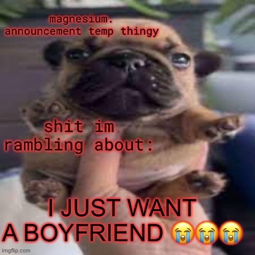 RAHHHHHHH | I JUST WANT A BOYFRIEND 😭😭😭 | image tagged in pug temp | made w/ Imgflip meme maker