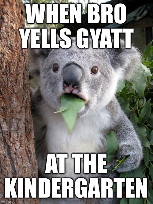 Wrong place man | WHEN BRO YELLS GYATT; AT THE KINDERGARTEN | image tagged in memes,surprised koala | made w/ Imgflip meme maker