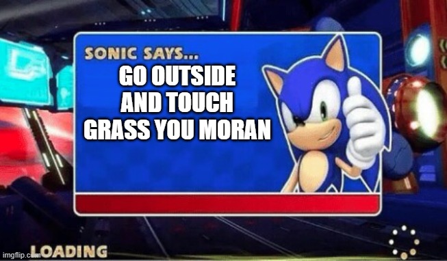 Sonic Says | GO OUTSIDE AND TOUCH GRASS YOU MORAN | image tagged in sonic says | made w/ Imgflip meme maker