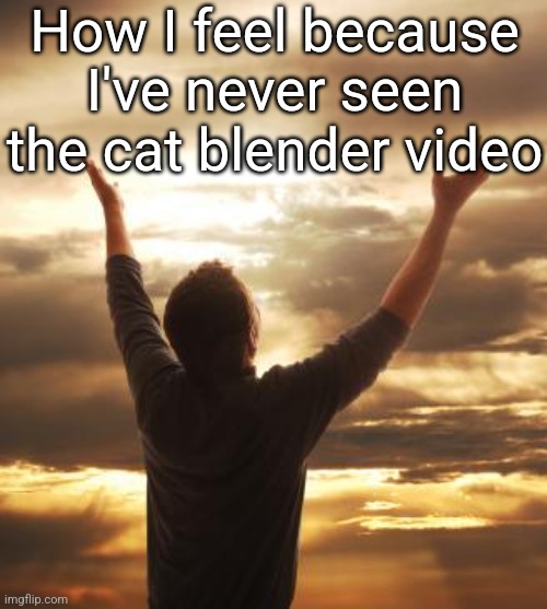 THANK GOD | How I feel because I've never seen the cat blender video | image tagged in thank god | made w/ Imgflip meme maker