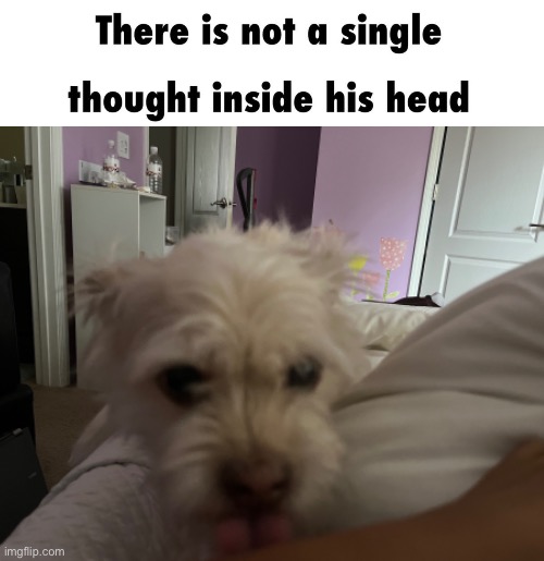 @peas@peas@peas@peas@peas@peas@peas | made w/ Imgflip meme maker