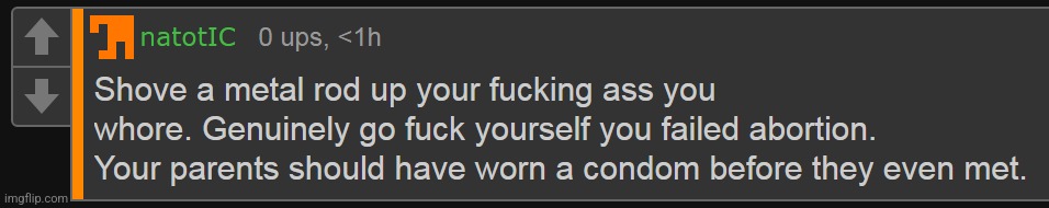 shoutout to this one nat comment | image tagged in nat crashing out | made w/ Imgflip meme maker