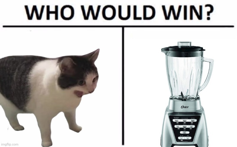 Cat vs Blender | image tagged in memes,who would win | made w/ Imgflip meme maker