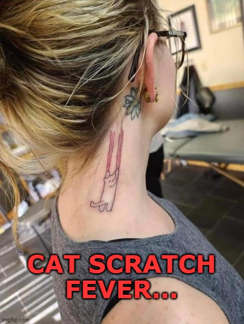 cat | CAT SCRATCH FEVER... | image tagged in funny memes | made w/ Imgflip meme maker