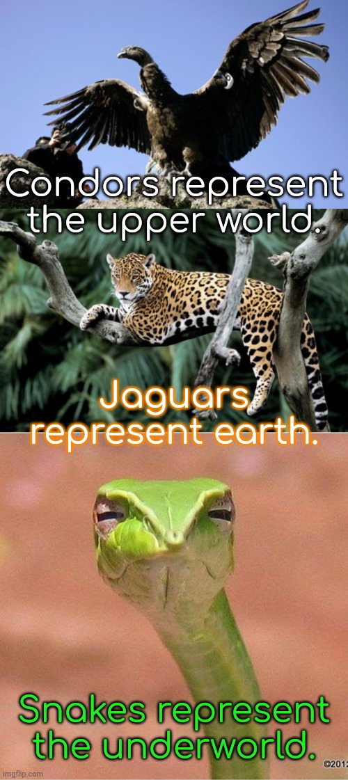 Animals sacred to the Inca. | Condors represent the upper world. Jaguars represent earth. Snakes represent the underworld. | image tagged in andean condor,jaguar,sceptical snake,religious,respect,pagan | made w/ Imgflip meme maker